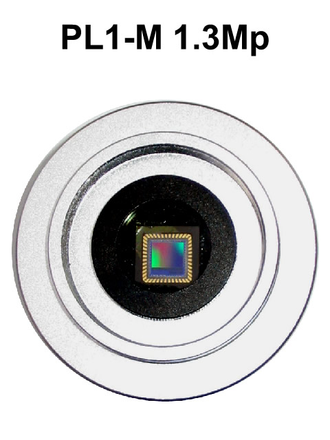 camera PL1.3M_hm
